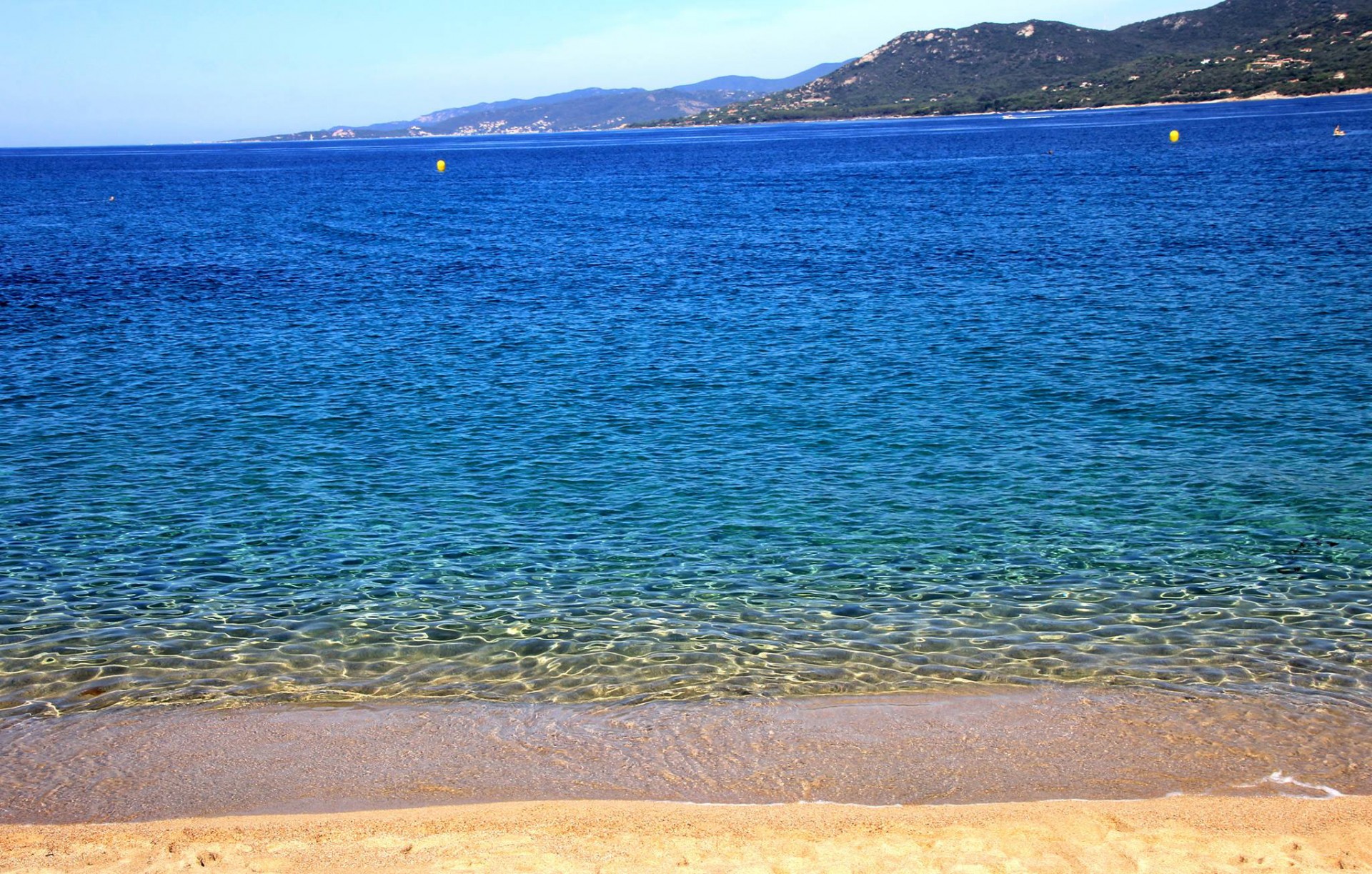 Capo laurozu